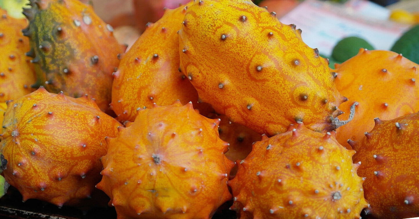 Kiwano Horngurke