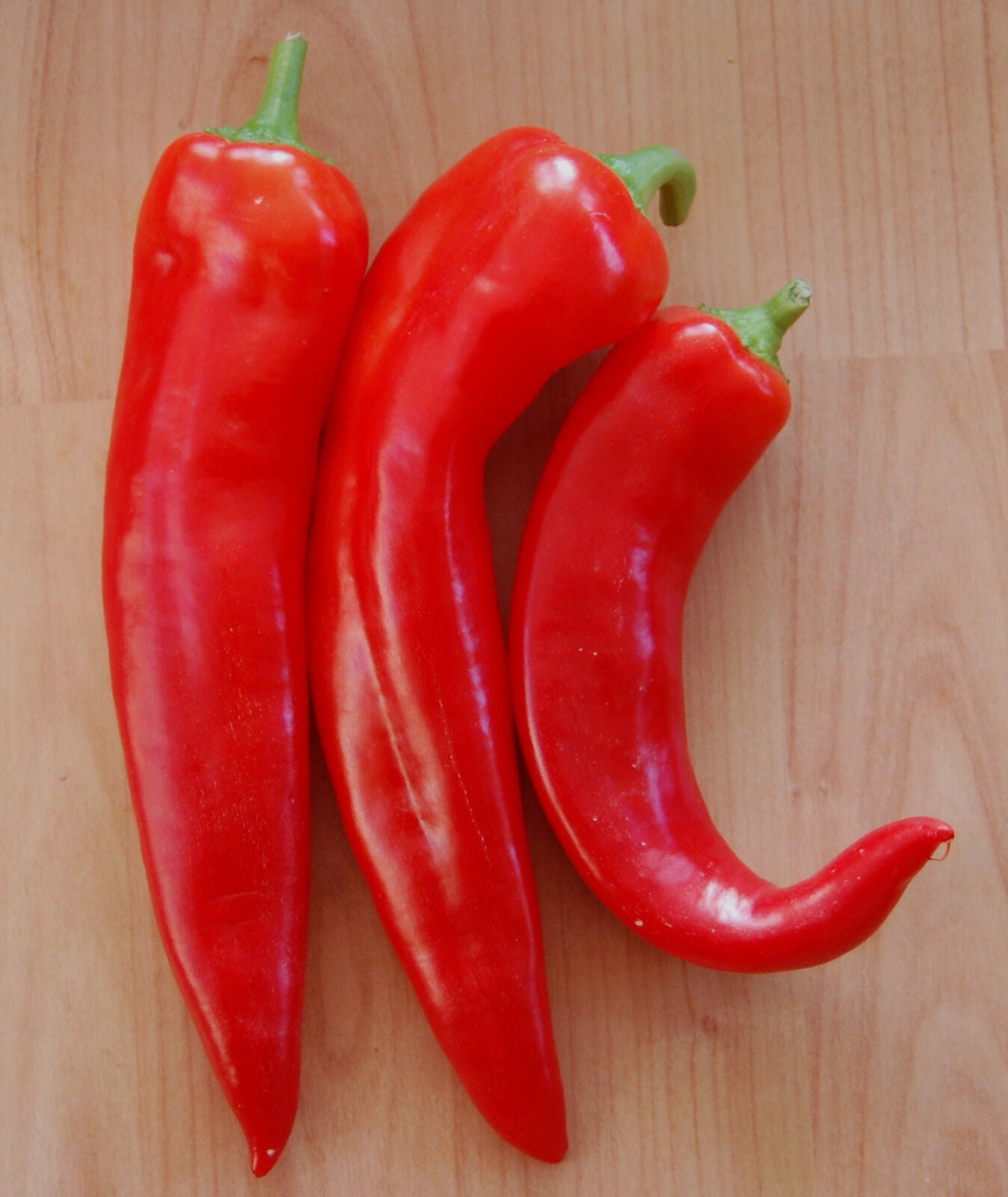 Rote Spitz-Paprika "Marconi Red"