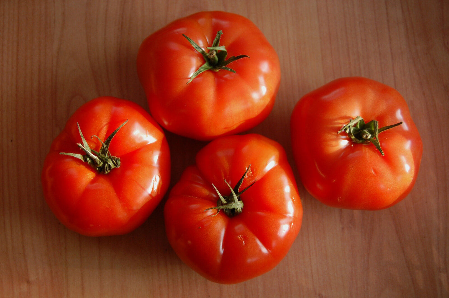 Tomate "Marmande"