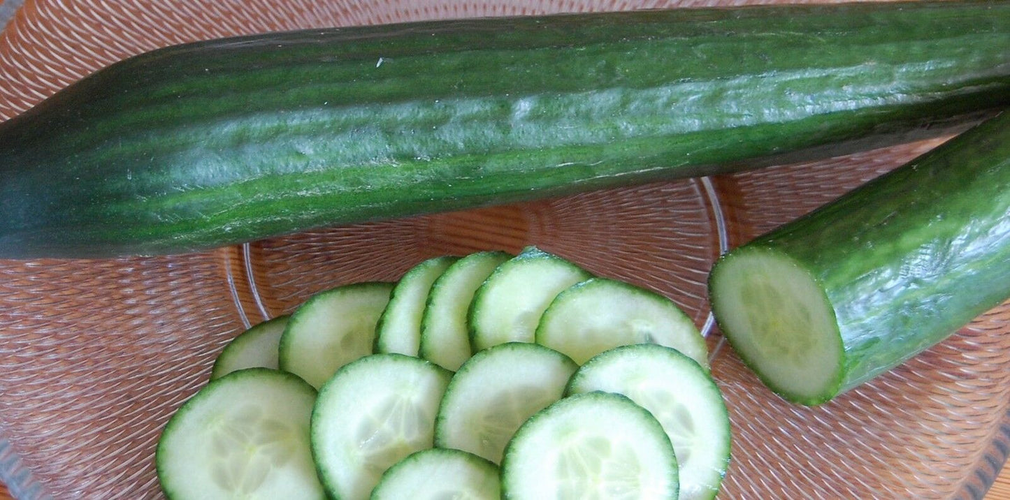 Salatgurke „Chinese Slangen“