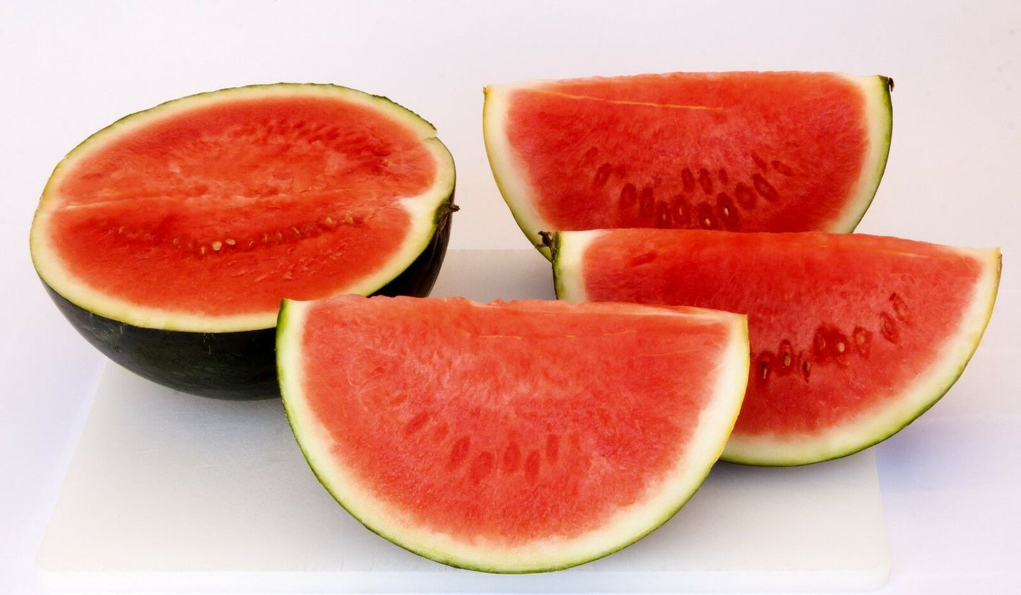 Wassermelone „Sugar Baby“