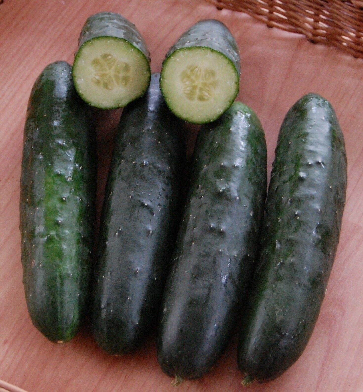 Salatgurke Marketmore