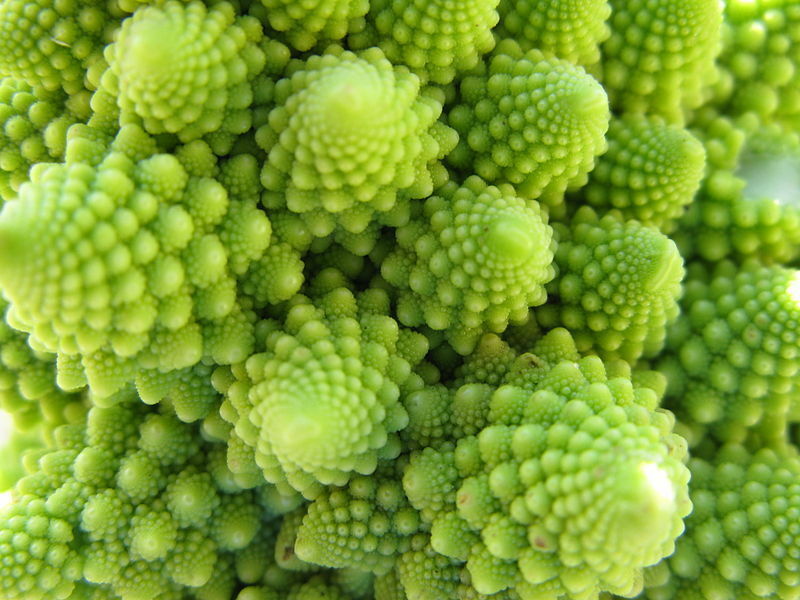 Romanesco Blumenkohl