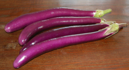 Aubergine "Long Purple"