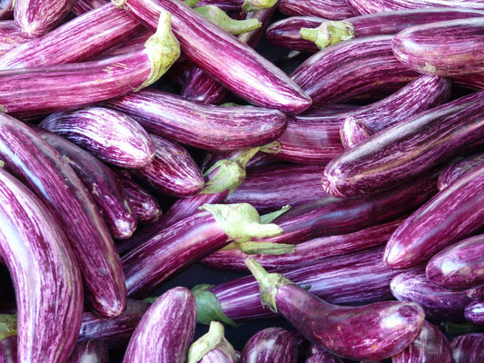 Aubergine Tsakoniki