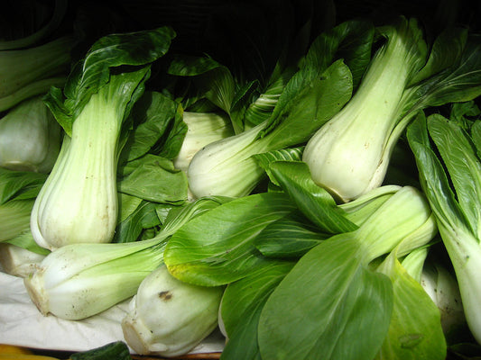 Pak Choi "White Stem"